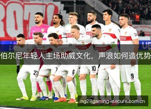 伯尔尼年轻人主场助威文化,声浪如何造优势 伯尔尼年轻人主场助威文化,声浪如何造优势